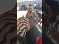 Dithusang Dipalaelo Le Ona Masisapelo Salome Pilane DisakeVillageSensation