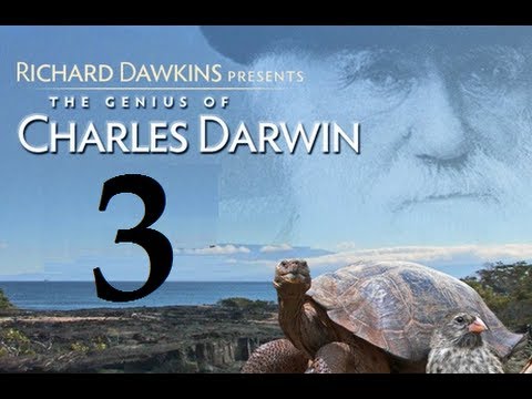 Richard Dawkins - The Genius of Charles Darwin - Part 3: God Strikes Back [+Subs]