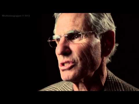 Jon Kabat-Zinn Mindfulness 9 attitudes - gratitude and generosity.