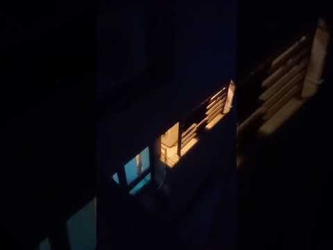 Cidade de Kaohsiung Zuoying Boai 4th Road 401 Dailou Residence Meia noite 23:30 Dashing Dog...