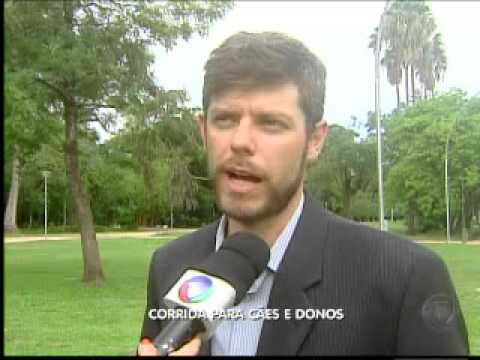 Vai Totó no Balanço Geral