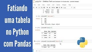 Filtrando linhas e colunas em uma tabela (Python para Machine Learning - Aula 14)