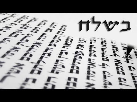 The pillar of sanity at times of insanity - Parashat Beshalach - Rabbi Alon Anava #parsha #torah