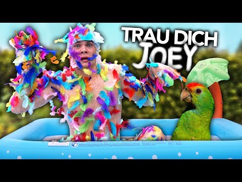 ICH WERDE EIN PAPAGEI - Trau Dich Joey | Joey's Jungle
