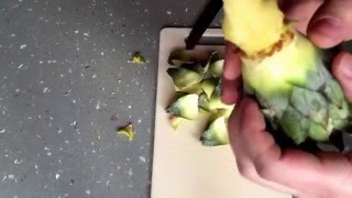 Ananas pflanzen ~ Aufzucht ~ bewurzeln und einpflanzen! Part#1