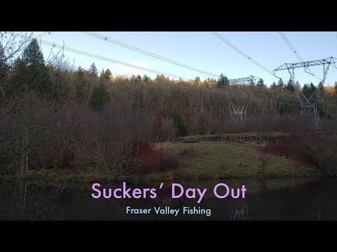 Suckers' Day Out