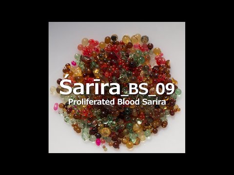 Legado de Buda_BS_09