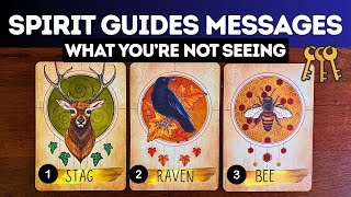 Spirit Guides Messages About What You're Not Seeing!⏐TAROT • pick a card