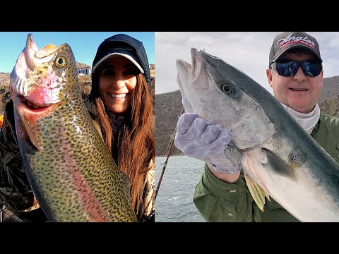 Rufus Woods Triploids & Baja Yellowtail