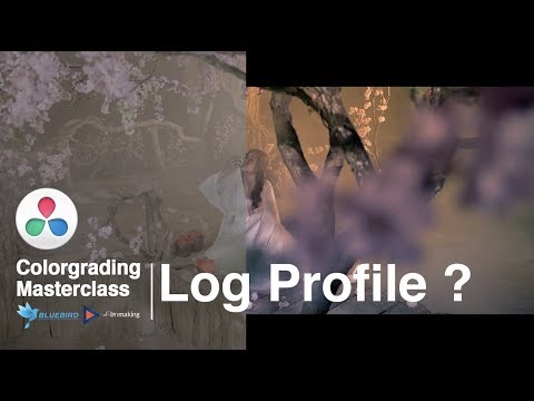 Giải thích về Log profile là gì ? Why you NEED to be adjusting your LOG PROFILES!