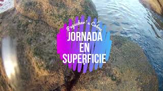 ⬛ LUBINAS en SUPERFICIE con el paseante PUGACHEV´S{Pierdo récord a SPINNING a mis pies y saco otra}