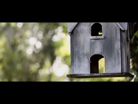 Видеообзор