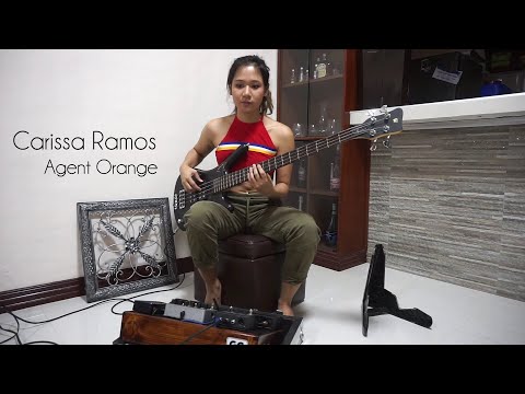 Agent Orange (Bass Cover) - Carissa Ramos