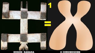 Dogon Aren't from Sirius! Kanaga is the X Chromosome! Divine Cosmology 1