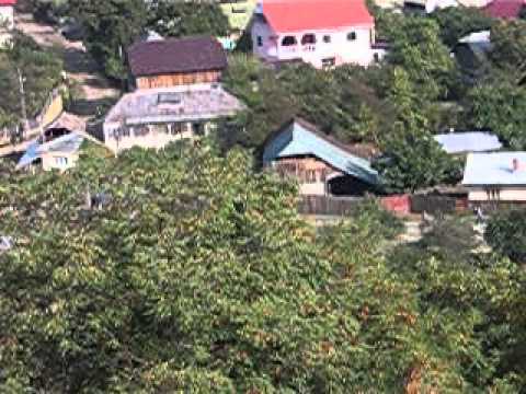 Paunesti Vrancea are targ duminical