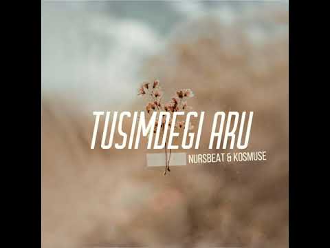 tusimdegi aru - n u r s & Kosmuse