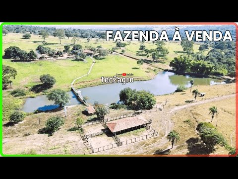 🌱 39.9 ALQUEIRES TRINDADE - FAZENDA À VENDA EM GOIÁS [🌱DUPLA APTIDÃO] #fazenda #tec2agro