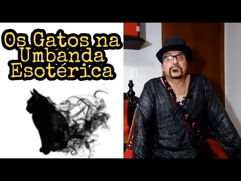 🔱Os Gatos na Umbanda Esotérica: reikianos nato, representantes de Ra,....