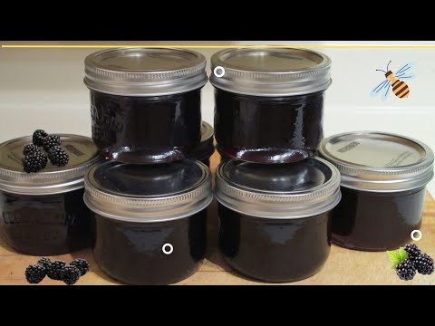 Simple Blackberry Jelly or Jam | How to Make in 4 Easy Steps
