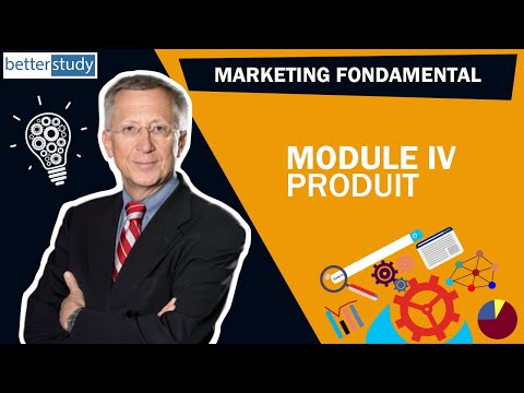 Comment MAÎTRISER les règles du MARKETING Formation d un expert