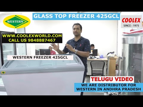 Western Ice Cream Curved Glass Top Freezer Whf325gcl