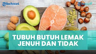 Ternyata Tubuh Membutuhkan Lemak Tidak Jenuh dan Lemak Jenuh Sehat