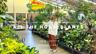 All the Houseplants at Armstrong Garden Center Right Now (February 2023)