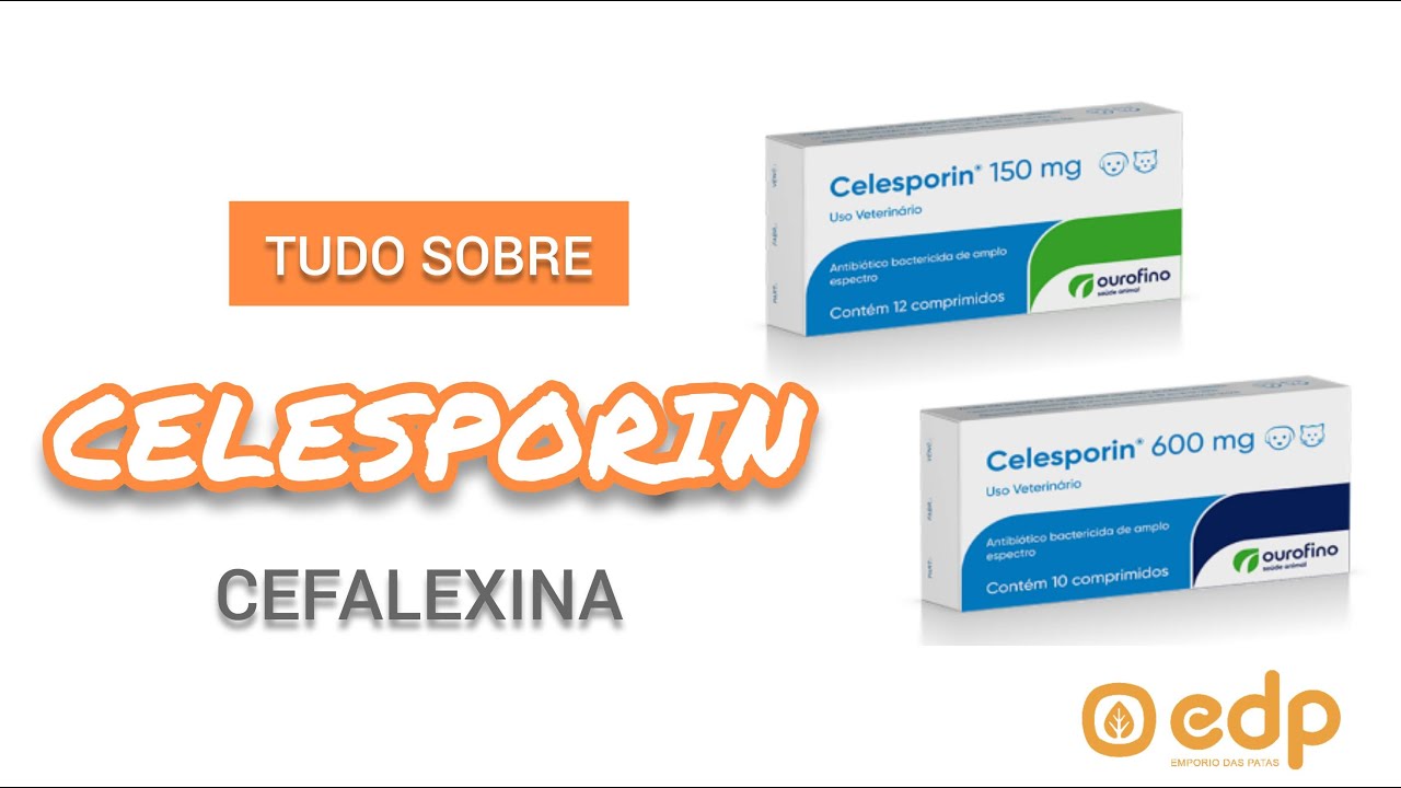 Watch Now 70 | CELESPORIN - ANTIBIÓTICO PARA CÃES E GATOS 70 | CELESPORIN - ANTIBIÓTICO PARA CÃES E GATOS