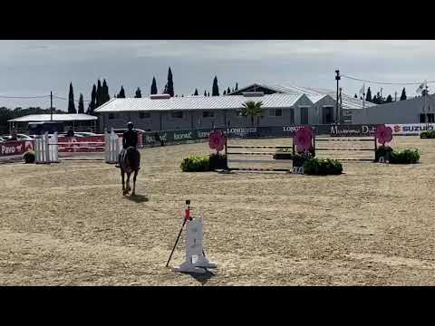 RG COMME IL FAUT (2014, Comme Il Faut) & Riccardo Pisani - 6yo class Sunshine Tour
