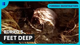Skeleton Found Buried in Botany Bay Sandbank
