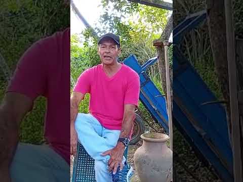 o poeta Manoel da cidade de salgadinho Paraíba