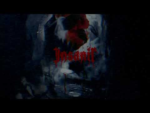 Insanir - Doctrina Odi (Official Audio)