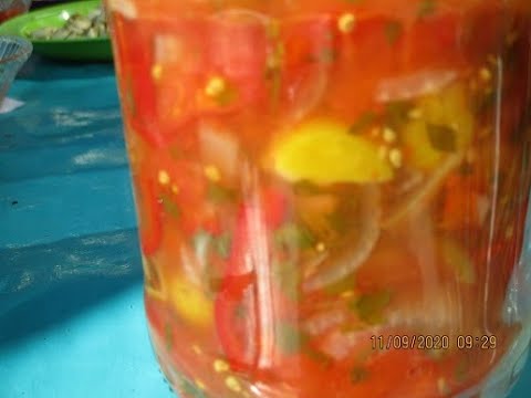 Tomaten einlegen Tomatensalat für Winter   sommerliche Farben im Glas einfach Genuss für Winter