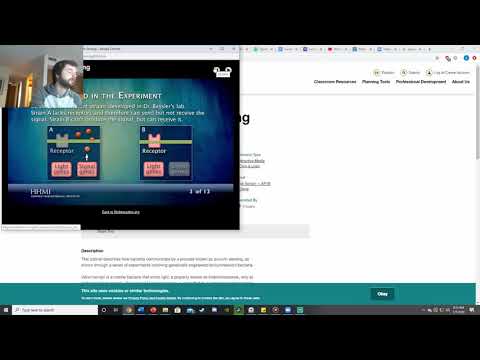 Quorum Sensing Video