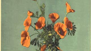 Really Old Airplanes - Robbers