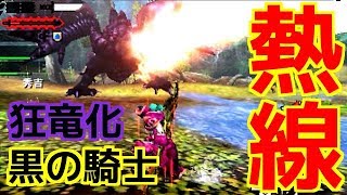 【MH4G】チキってるのはつかきちだけやで(・ω・｀)【モンスターハンター4G】