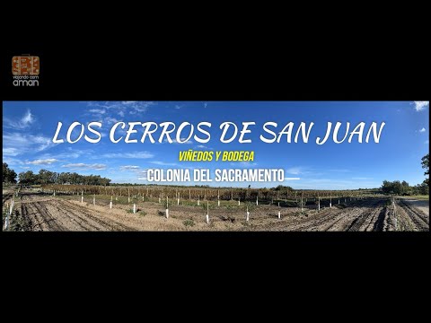 6. BODEGA LOS CERROS DE SAN JUAN, COLONIA DEL SACRAMENTO - URUGUAI