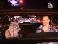 AUF SCHLIMMER UND EWIG S01E06 Auf Der Flucht