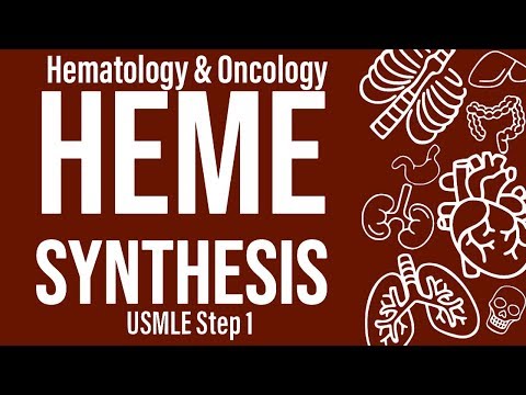 Heme Synthesis (Heme/Onc) - USMLE Step 1