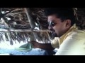Kallu Mamas