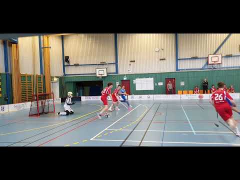 20220227 HJ Dingle - Lerum goals