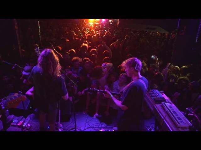 Mind Fuzz Suite
