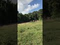 FINAL KKC TREK LACOR