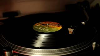 Wall of Voodoo - full of tension - vinyl