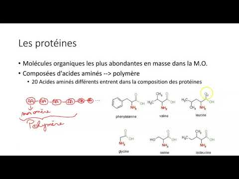 Les molécules du vivant