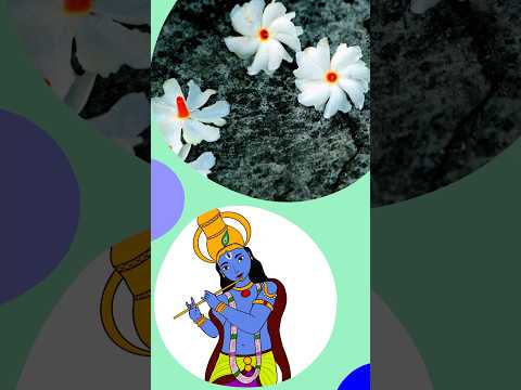 Parijat: The ONLY Flower You Can't Pluck! | Krishna's Night Jasmine Story