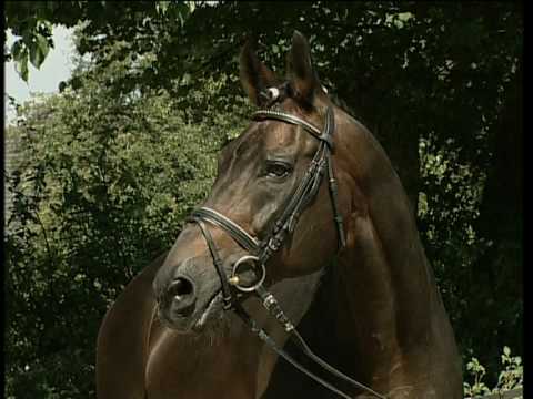 Landgestüt Warendorf