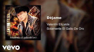 Valentín Elizalde - Déjame (Audio)