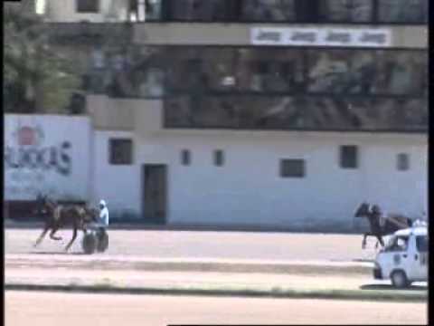 www kennethvella com  Meeting (20) Date 1-5-2015 Race 1,2,3,4,5,6,7.