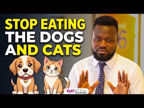 'Don't eat dogs and cats!' - ICS heads to Supreme Court to fight consumption of 'innocent' animals